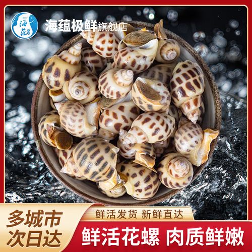 海蕴极鲜【活鲜】鲜活花螺 新鲜烧烤食材 中号 1000g 80-100只左右